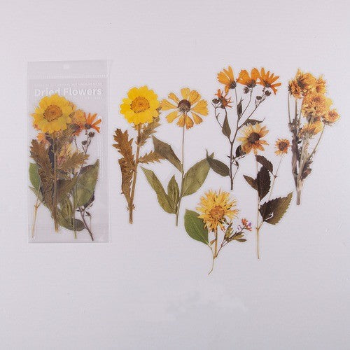 journaling dried sunflowers
