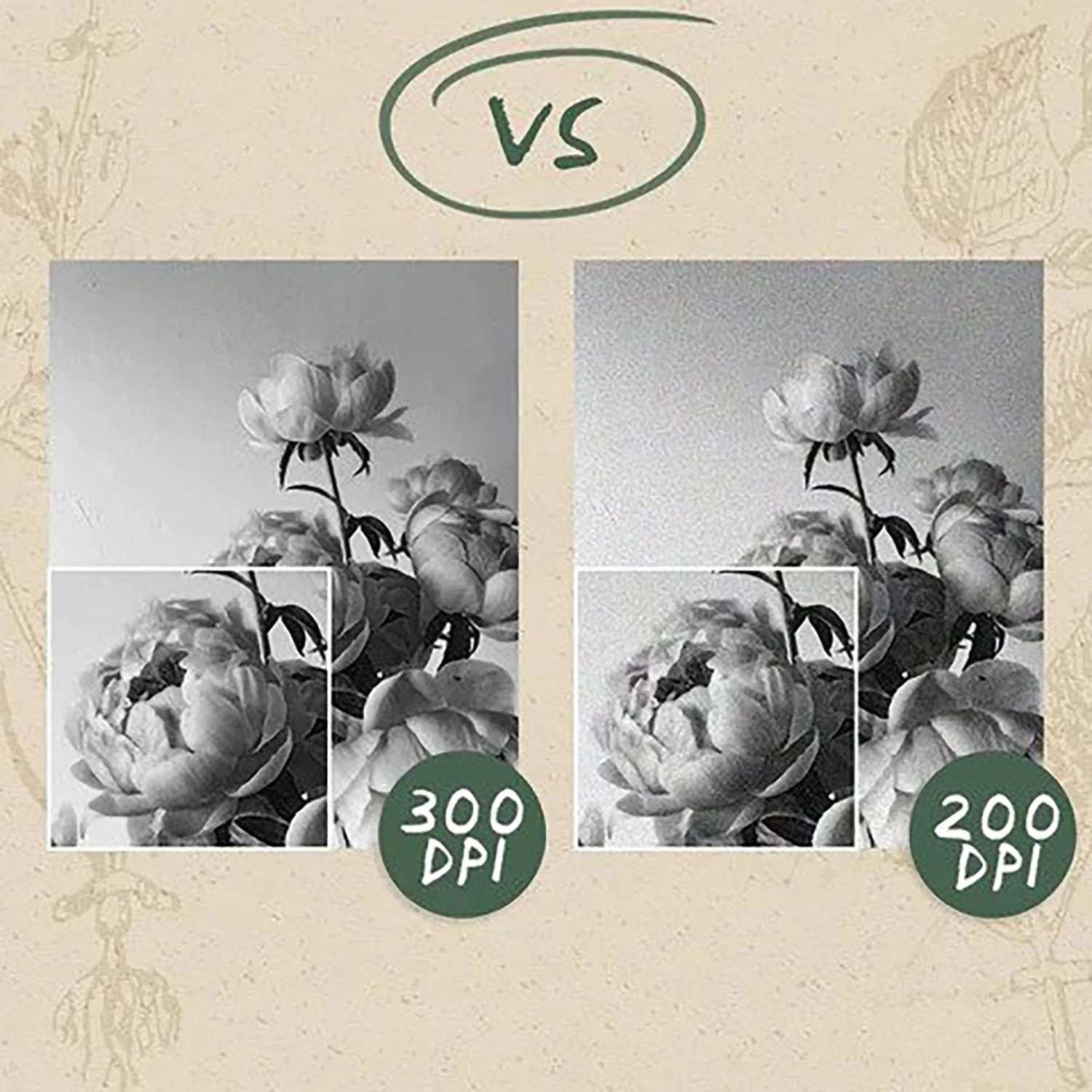 PoooliPrinterยฎ Inkless Pocket Printer + ๐ FREE Paper Roll ๐ - PoooliPrint