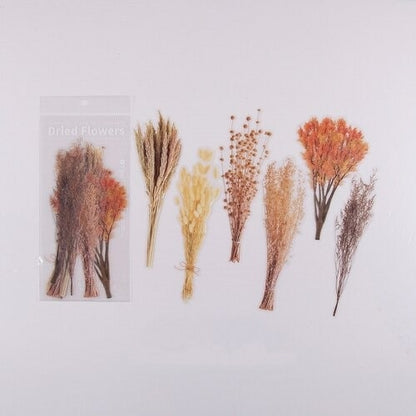 PoooliJournaling® Dried Flowers Assortment - PoooliPrint