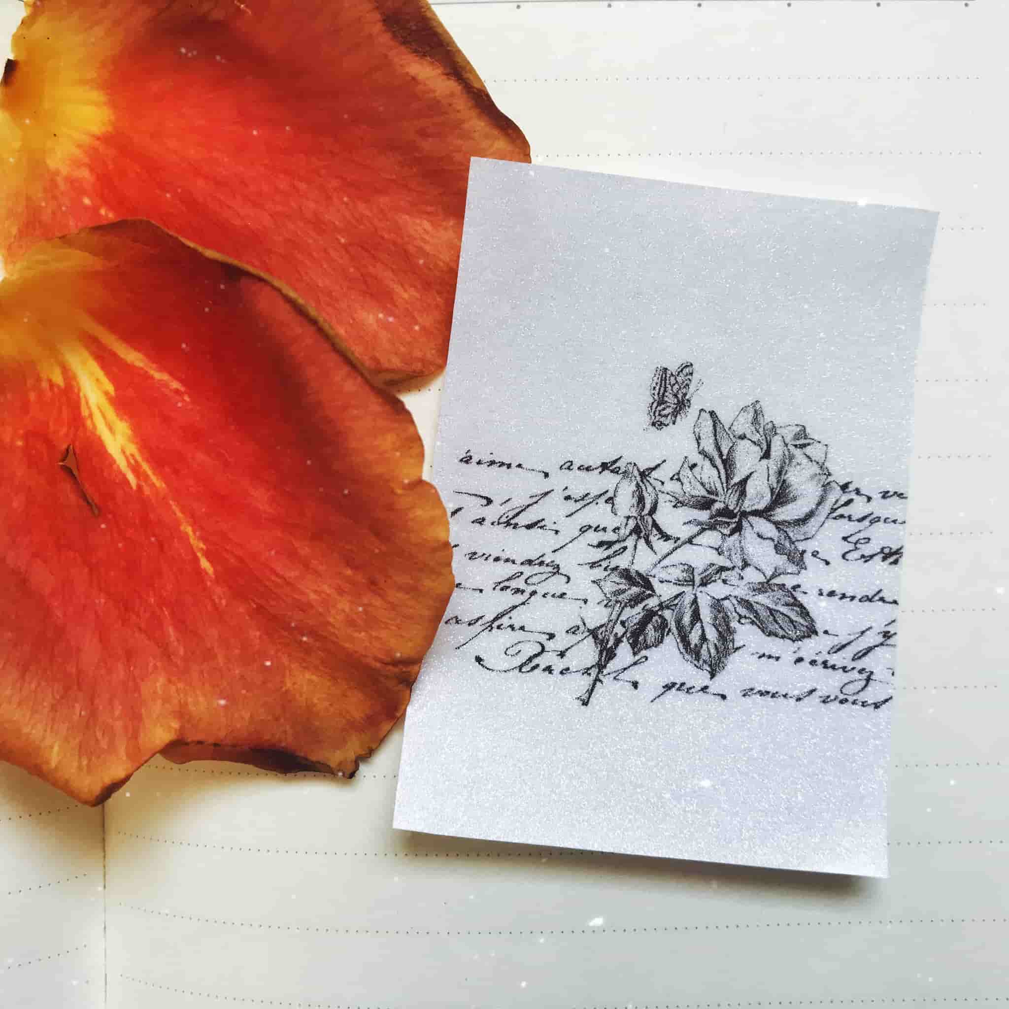 poooliprint silver sparkling thermal paper